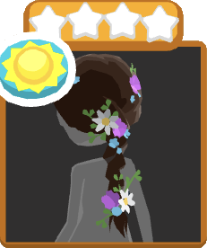 Wildflower Braid