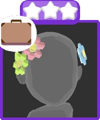 Funky Hairclips