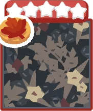 Forest Floor