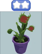 Venus Fly Trap