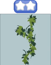 Wall Ivy